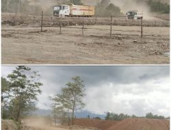 Pemerintah Haltim Tidak Di Anggap Oleh Perusahaan PT.STS