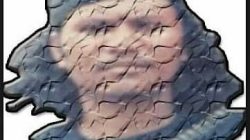 INDONESIA DALAM PUSARAN NASIONALISME SEMU ATAU REPRODUKSI KAPITALISME GLOBAL